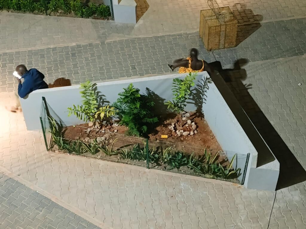 470204411_122144508638340655_8396557996609174661_n