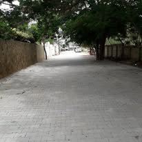 536281258_122183715554340655_4296642863163164948_n